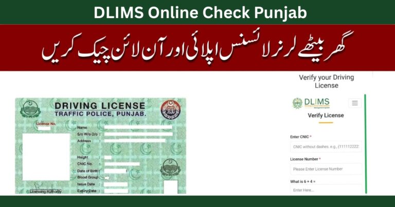 DLIMS Online Check Punjab Complete Guide to Tracking Your Driving Licence