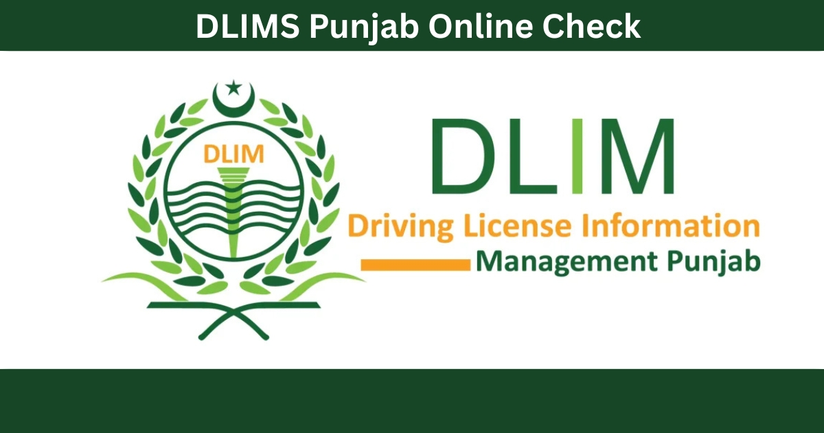DLIMS Punjab Online Check & Tracking – Complete Driving License Guide (2026)