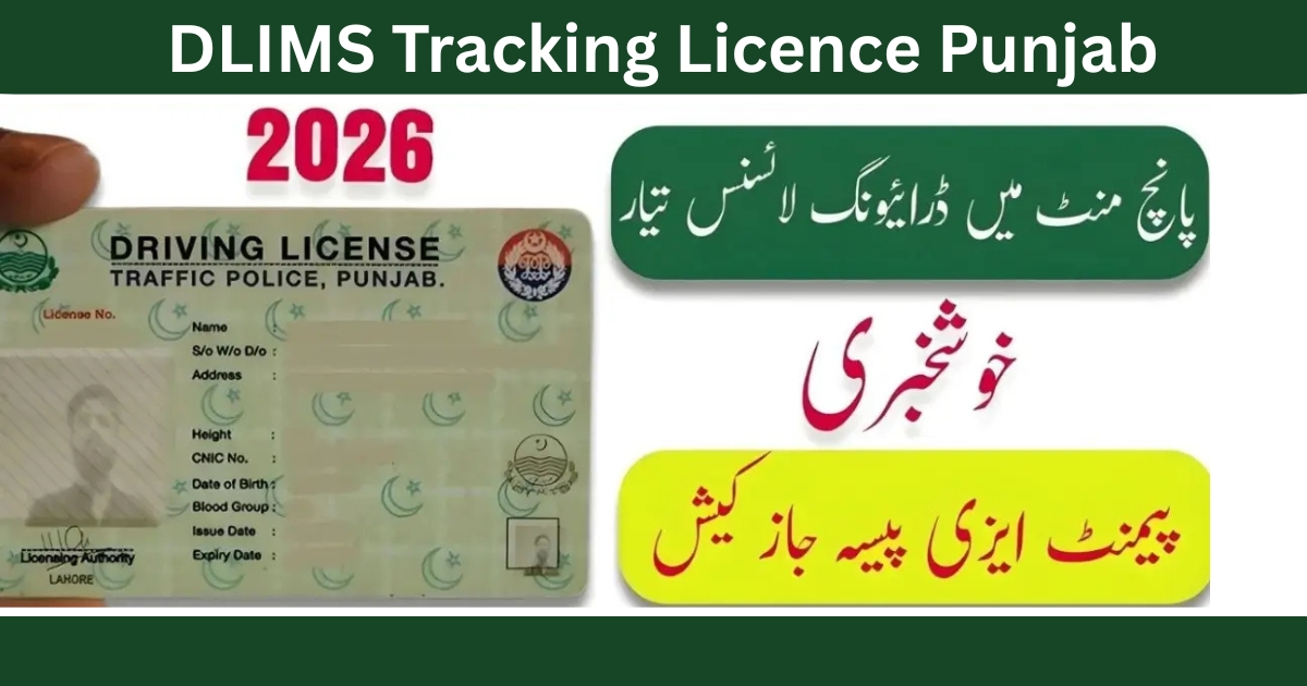 DLIMS Tracking Licence Punjab – Complete Guide to Online Check, E-License, Verification & E-Challan