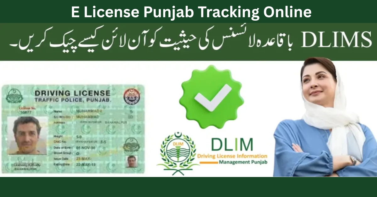 E License Punjab Tracking Online – Complete DLIMS E Driving License Guide (Step-by-Step)