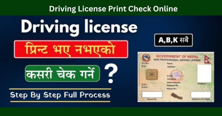 Driving License Print Check Online – Complete Guide for Nepal (Smart License 2026)