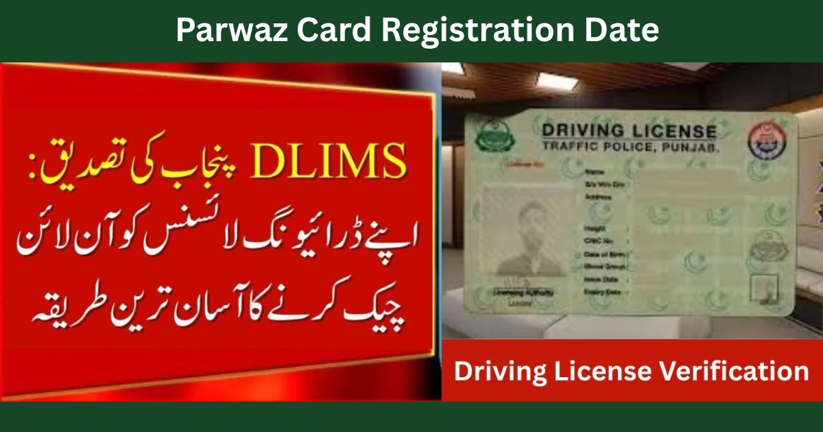 License Verification in Pakistan Complete Online Driving License Check, DLIMS Tracking & PSCA E-Challan Guide