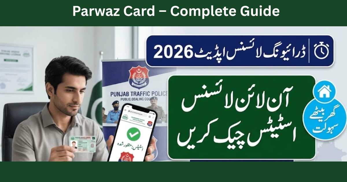 Online Driving License Check Punjab – Complete Guide with DLIMS, CNIC & Real Experience
