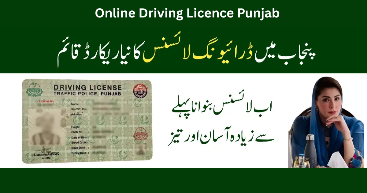 Punjab Driving Licence Check Online – Complete Guide to Apply, Verify, Download & Renew (DLIMS Punjab)